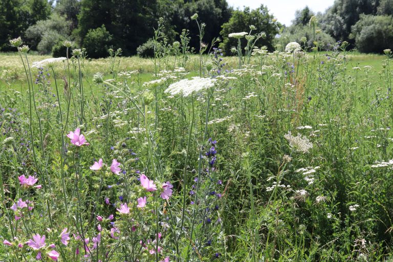 Naturerlebnisreihe im Landkreis Pfaffenhofen