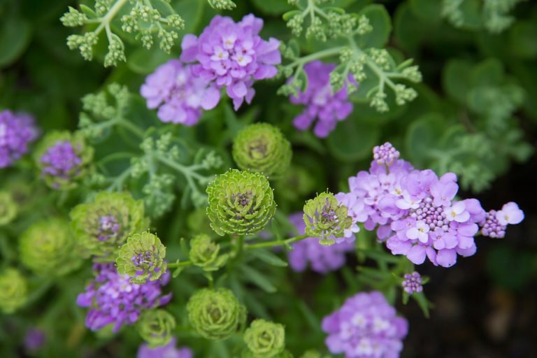Natur und Garten praktisch erleben – mit allen Generationen