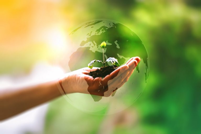 Ist weniger mehr? THI-Nachhaltigkeitsgespräche