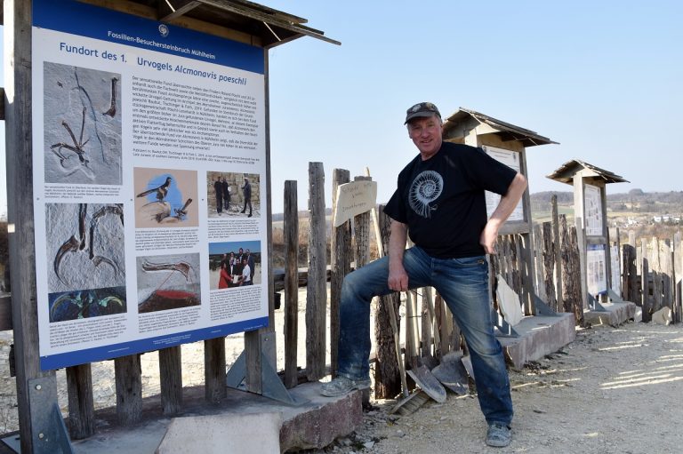 Auf Urvogeljagd: Besuchersteinbruch in Mühlheim öffnet