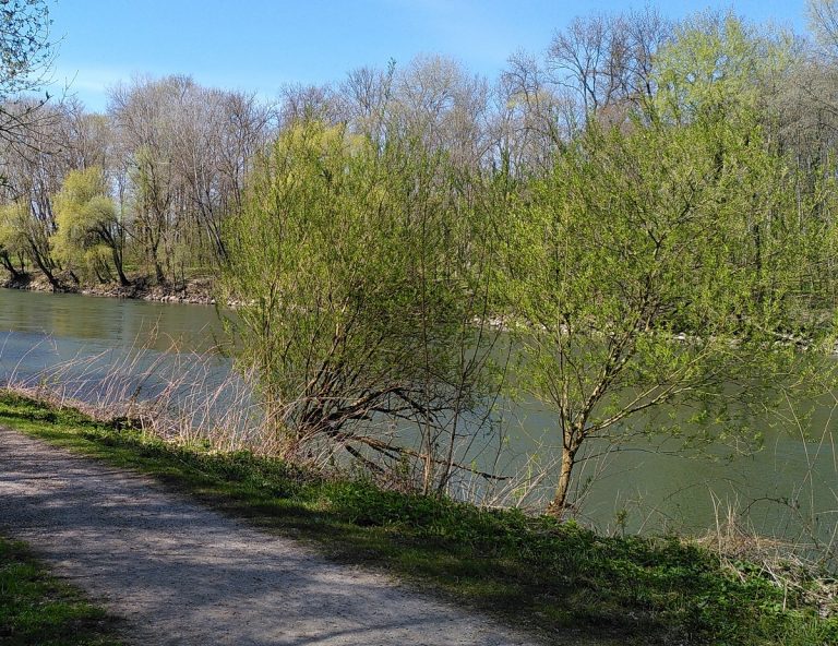 Unterwegs mit der Donaunixe Danubia