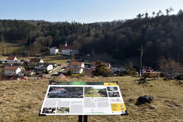 Wanderweg und Erlebnispfad: Der Schäfchenweg bei Mörnsheim