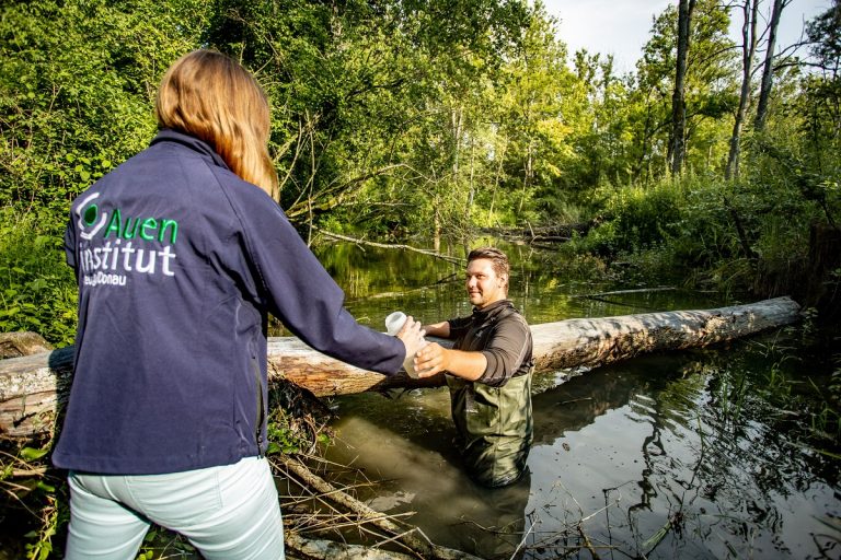 Erkenntnisse aus Naturbeobachtung in den Donauauen