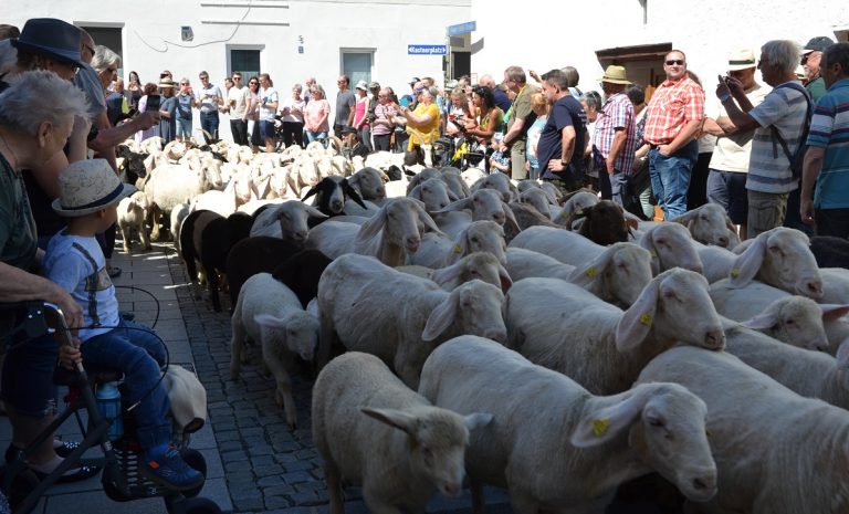 Schäferstündchen der besonderen Art in Mörnsheim