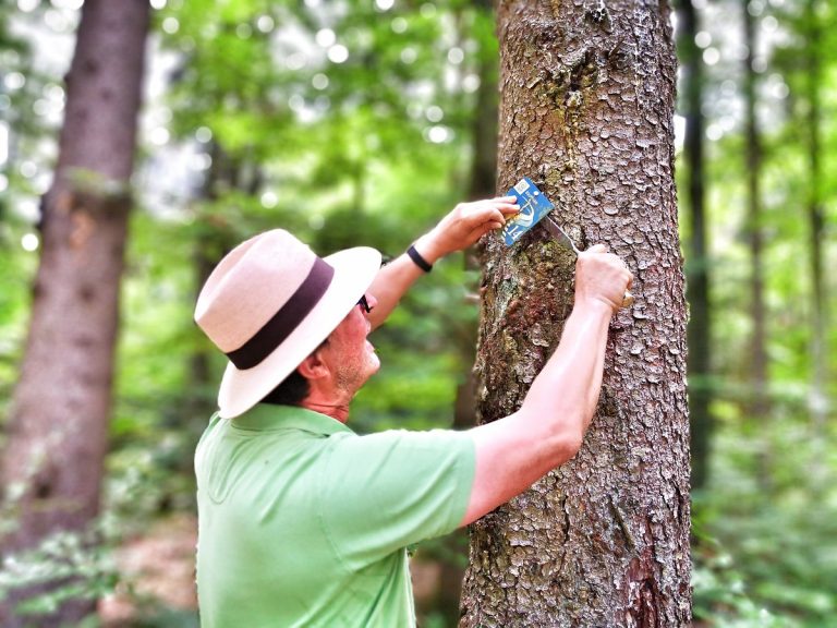 Neue Wanderkarte mit Touren in und um Eichstätt