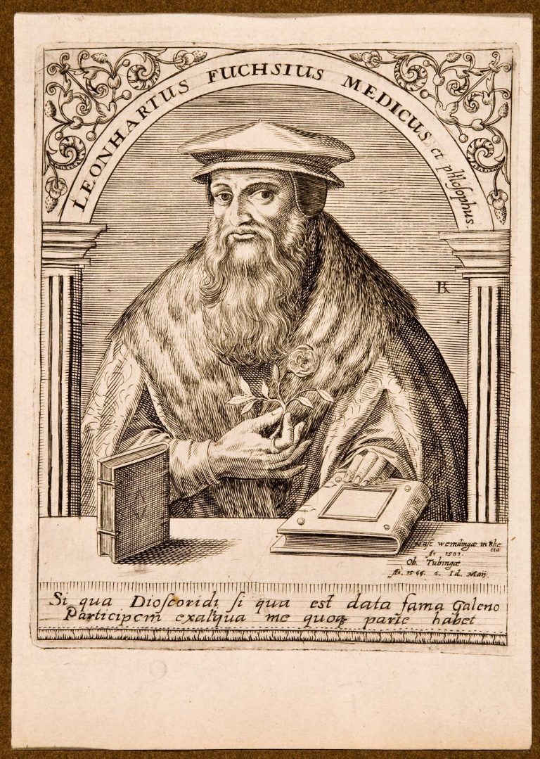 Leonhart Fuchs und das „New Kreüterbuch“