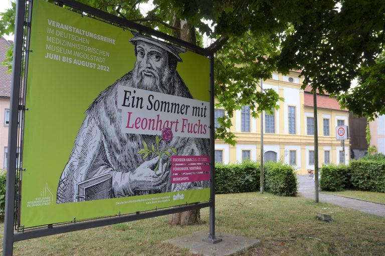Gartenführung „Fuchs und die Arzneipflanzen“