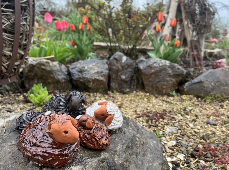 „Tag der offenen Gartentür“ am 12. Juni in Hofstetten