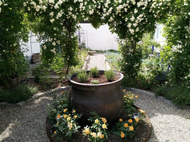 Obst-Vielfalt und ein besonderer Stadtgarten