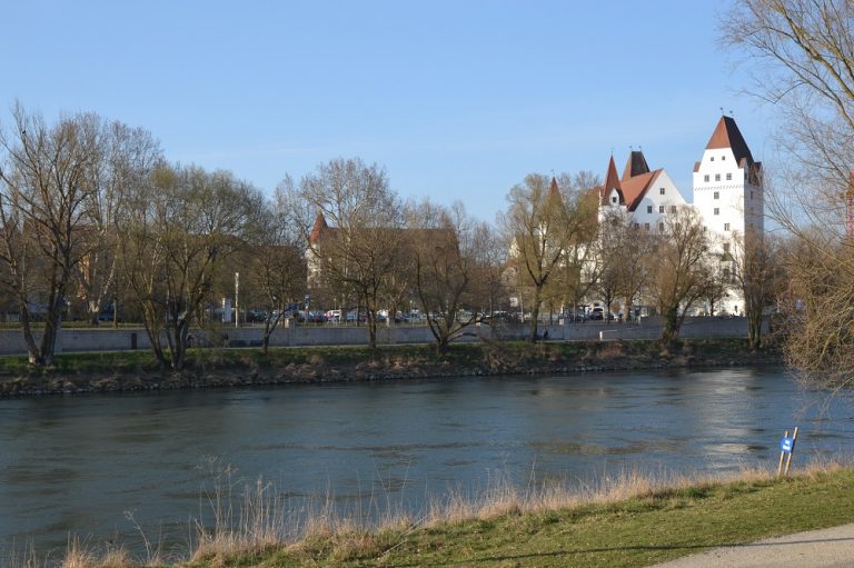 Traditionelles Donauschwimmen in Ingolstadt