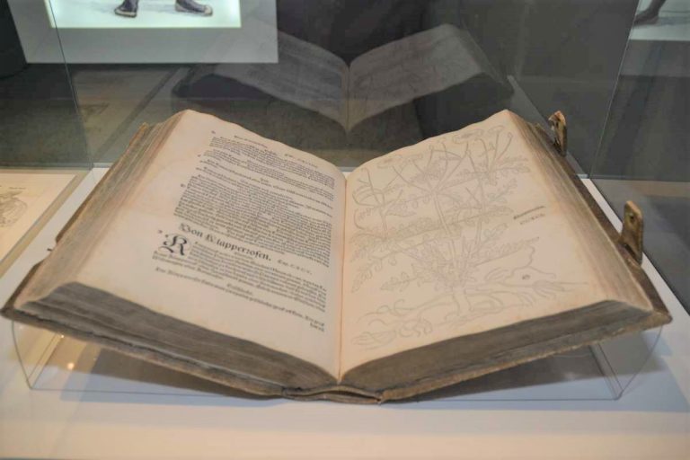 Hybride Mittagsvisite: New Kreüterbuch