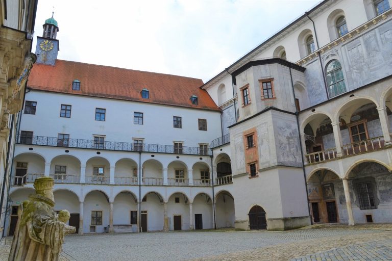 Familienmittwoch mit Geschichte, Kultur und Alpakas in Neuburg