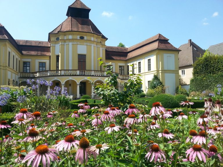 Gartenvisite: „Was blüht denn da?“