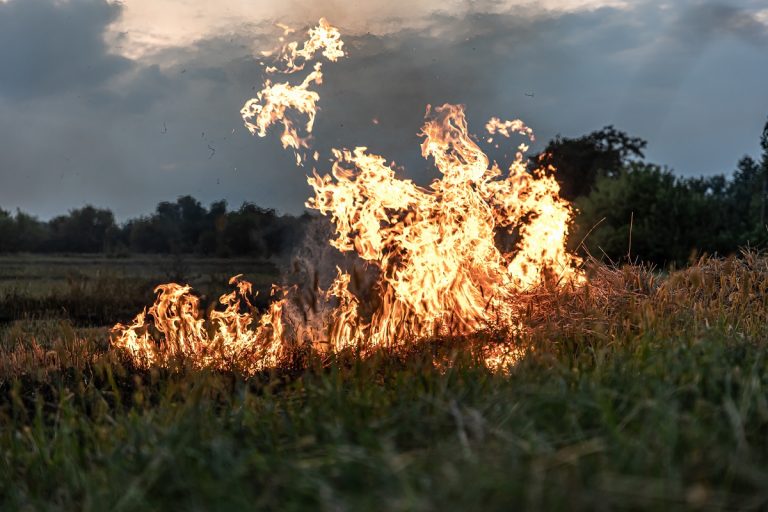 Walbrandgefahr: Landratsamt und Kreisbrandrat rufen zur Achtsamkeit auf