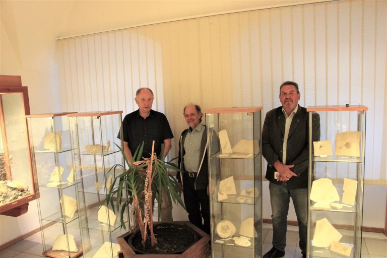 Hobbypaläontologen stellen Fossilienfunde in Mörnsheim aus