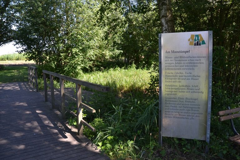 Die Bedeutung von Mooren für den Klimaschutz