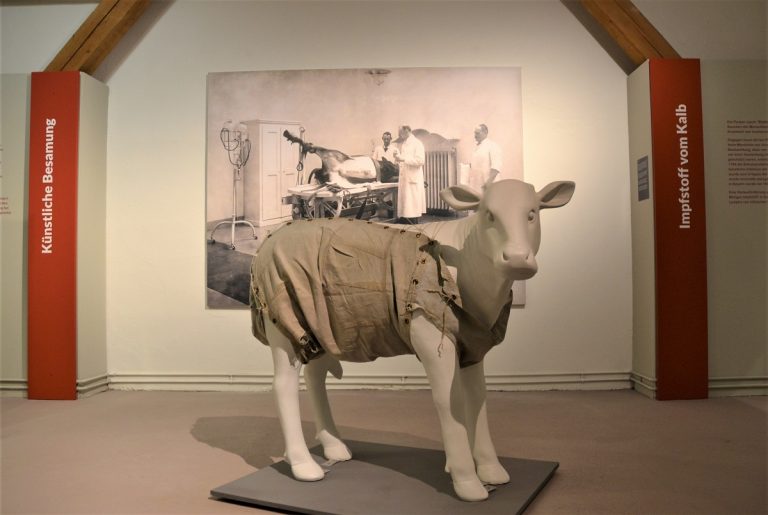 „Ins Maul geschaut“ im Bauerngerätemuseum Hundszell
