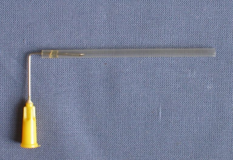 Hybride Mittagsvisite: In-Vitro-Fertilisation