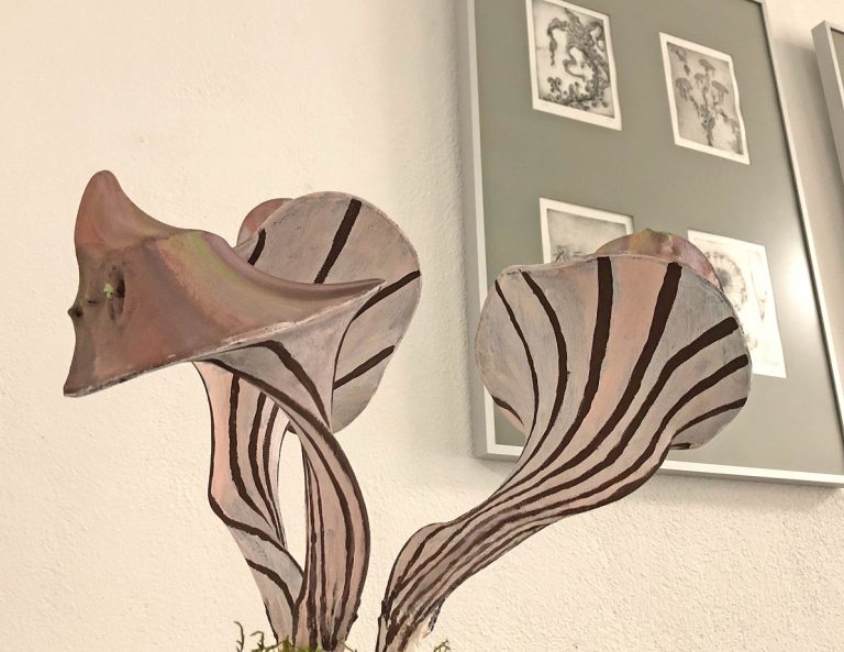 „Impulse“: Neue Ausstellung in der Galerie der Universität
