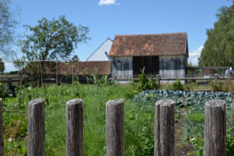 Donaumoos-Geschichte erleben: Vortrag von Museumsleiter Fritz Koch
