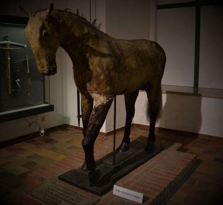 Nachts im Stadtmuseum