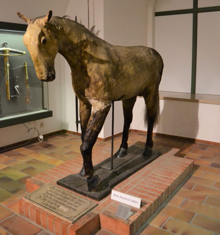 Erlebnisführung: Nachts im Stadtmuseum