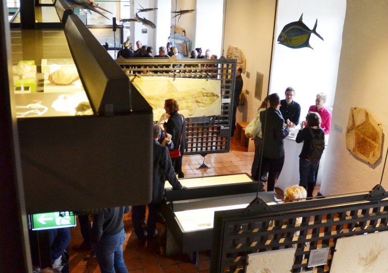 Der Internationale Museumstag im Jura-Museum