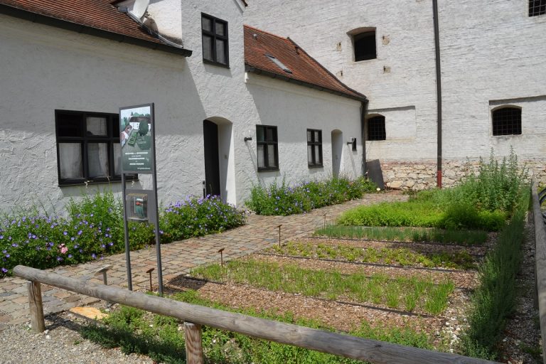 Saison im Ingolstädter Kräutergarten eröffnet