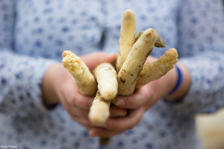 Spargelfest in Schrobenhausen