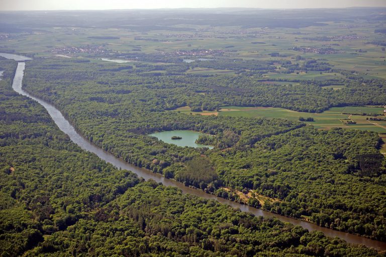 Blaualgen am Schafirrsee