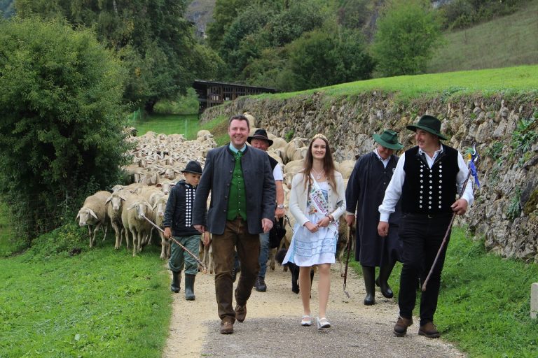 Böhming lädt zum Altmühltaler Lamm-Abtrieb