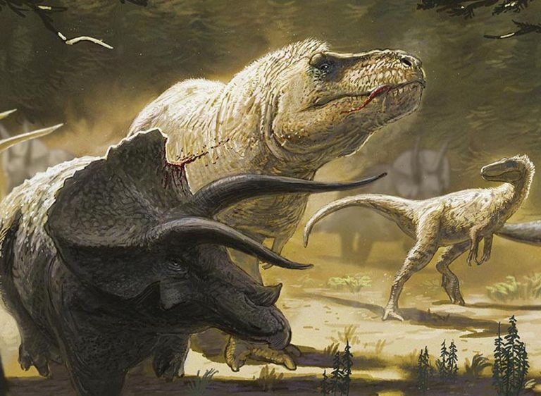 Paläoart im Eichstätter Jura-Museum