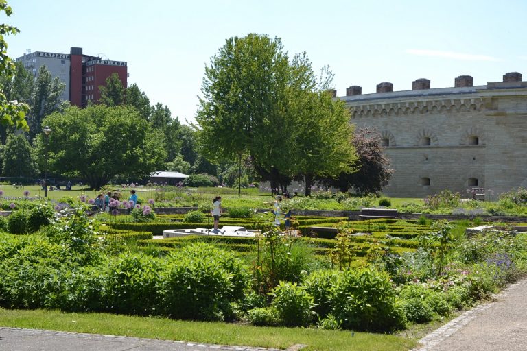Start der Klenzepark-Volunteers
