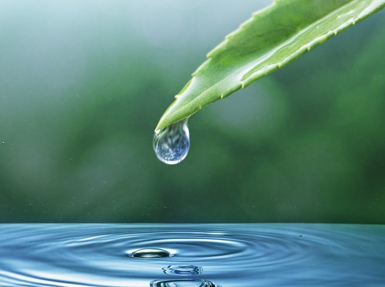 Wassernotstand in Deutschland?