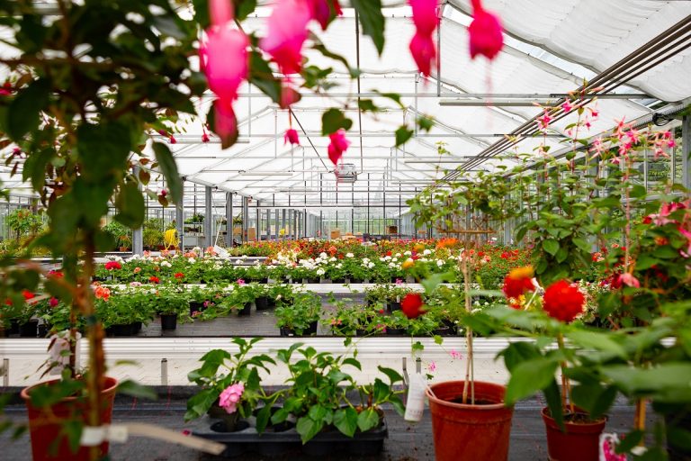 FLORANUM – ein neues Paradies für Pflanzenfreunde