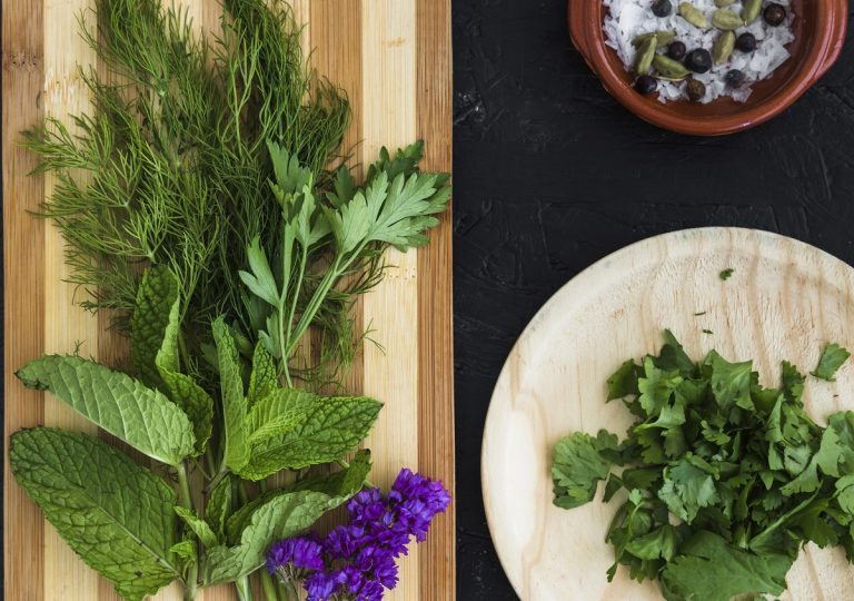 Vortrag: Heilpflanzen für Frauen