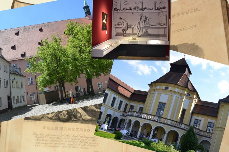 Erster Frankensteintag in Ingolstadts Altstadt