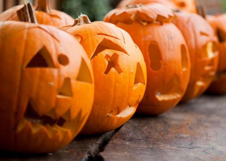 Herbstferien im Landkreis Pfaffenhofen