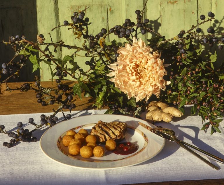 Rezepttipp: Schlehen als Chutney, Gin, Saft und Essig