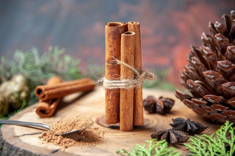 Zimt – vom Luxusgut zur Naturmedizin
