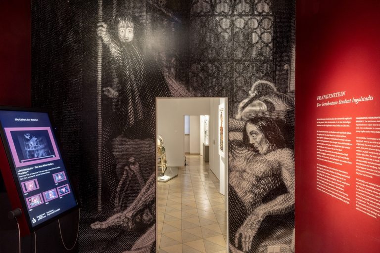 Victor Frankenstein und die Anatomie
