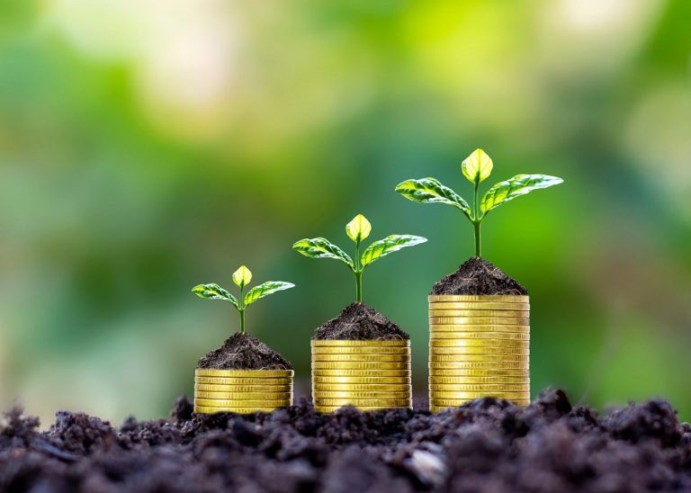 Infoveranstaltung „Förderung für Nachhaltigkeitsprojekte“