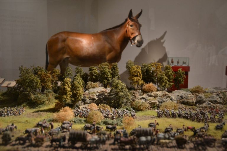 Legionäre, Feldlager und Renate im kelten römer museum