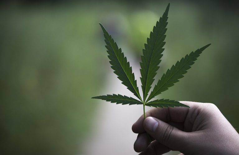 Cannabis Social Club Hallertau bei Gewerbemesse Manching