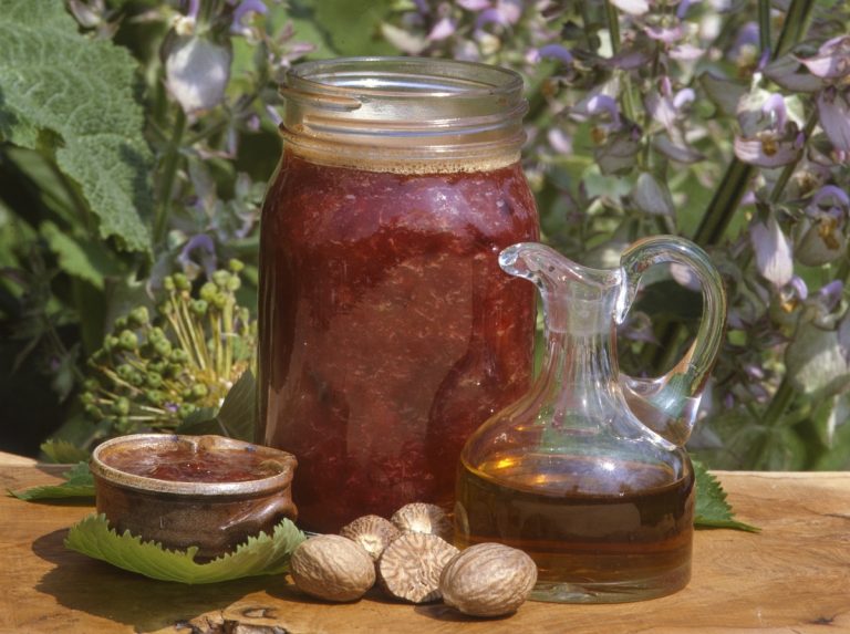 Rezepttipp: Sauerkirschen in Bestform