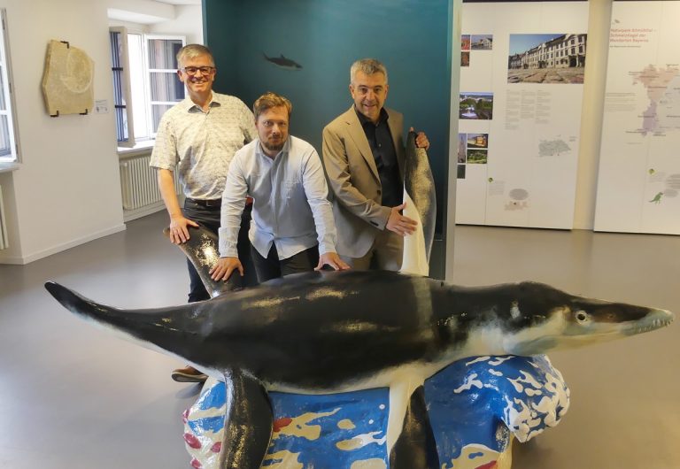 Baby-Pliosaurus im Naturpark-Infozentrum