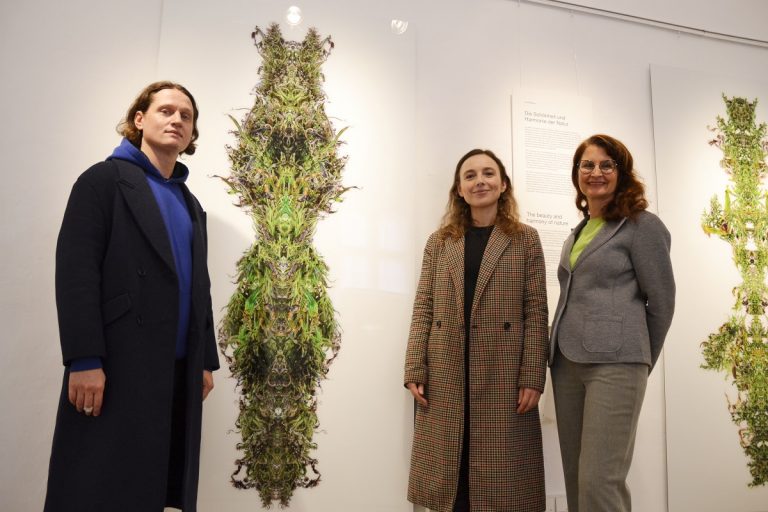 Natur-Schönheit(en) im Jura-Museum