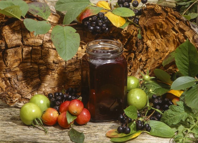 Die Apfelbeere – Rezeptideen und mehr