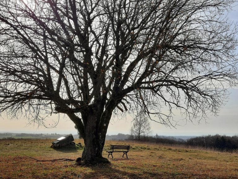 Samstagspilgern im Advent in Heidenheim