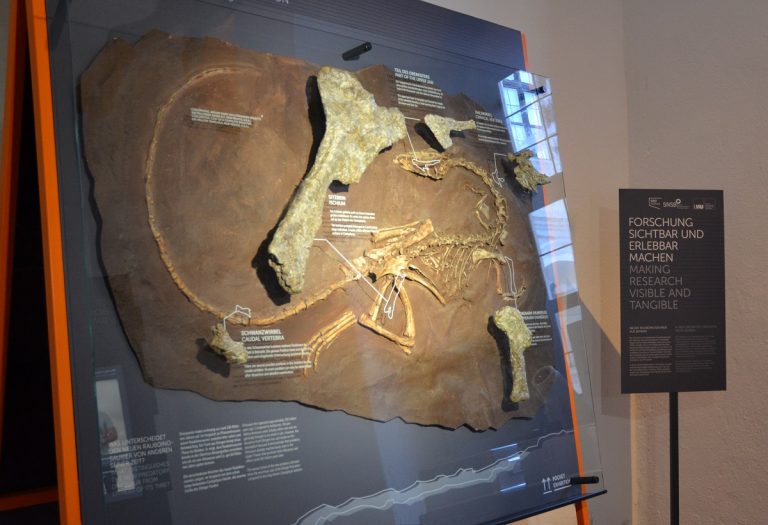 Dino Sensation aus der Nachbarschaft